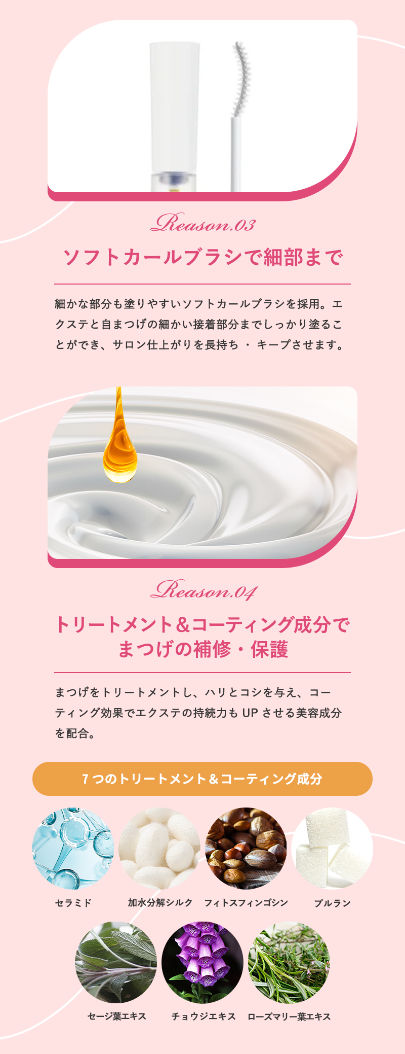 phenix-support-lp_02.jpg